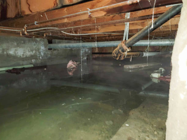 Best Water damage restoration near me  in Bonner West Riverside, MT