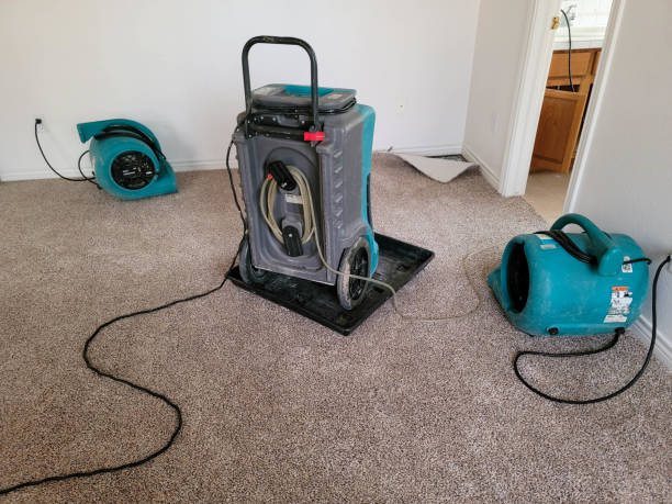 Bonner West Riverside, MT Water damage restoration Company
