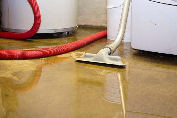 Trusted Bonner West Riverside, MT Water damage restoration Experts