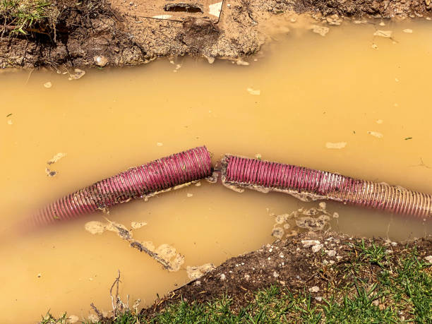  Bonner West Riverside, MT Water damage restoration Pros